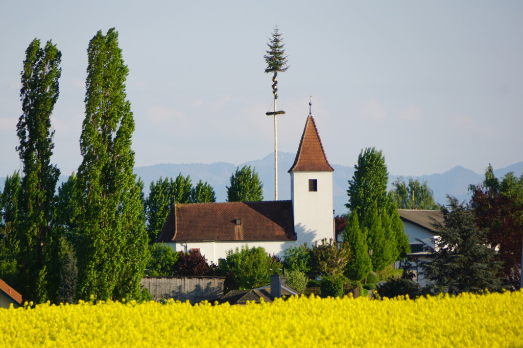 DSC00088 i