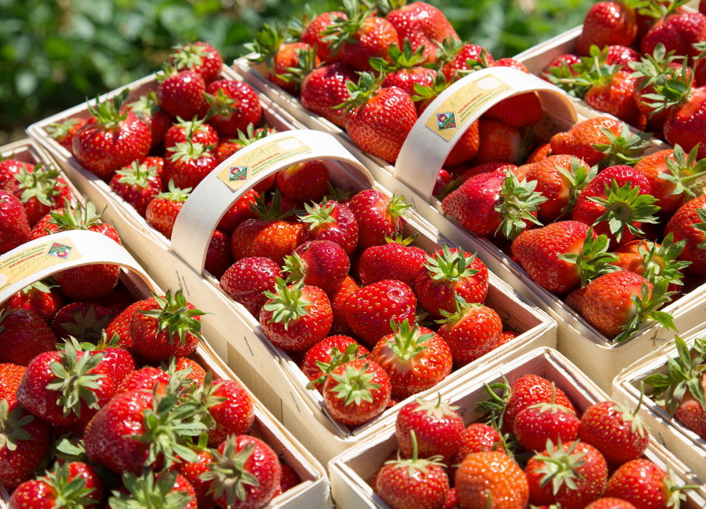 Erdbeeren