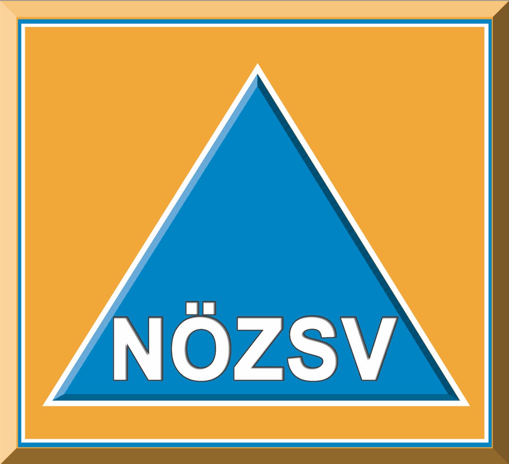logo noezsv i