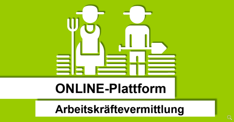 Lebensmittelhelfer   ONLINE