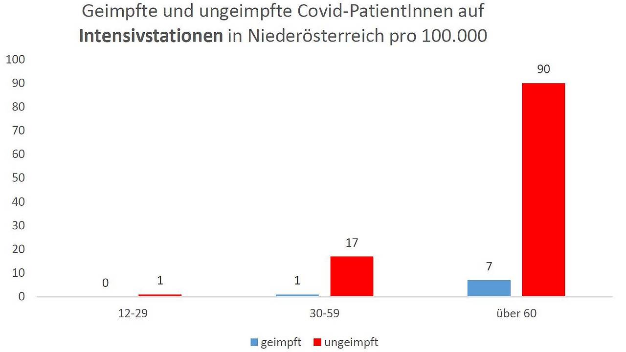 Warnung vor Wildwechsel: Derzeit viele Unfälle in MV