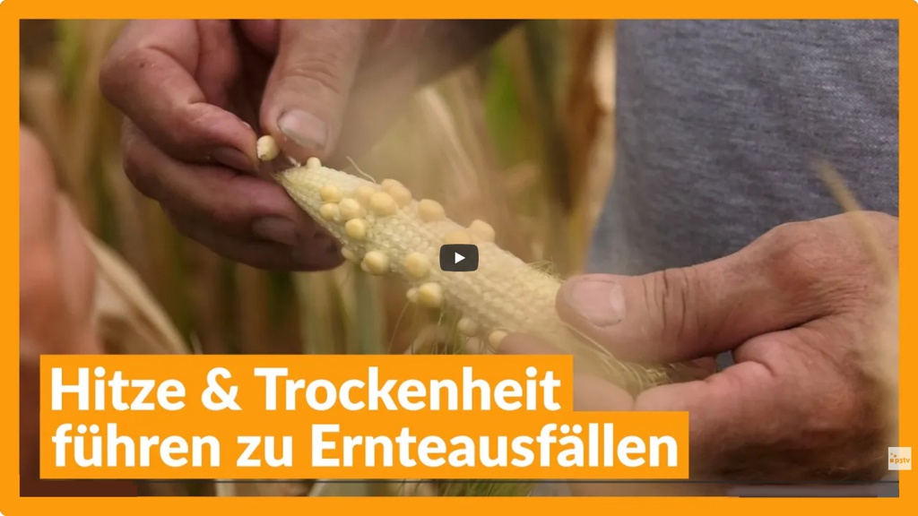 2026 08 07 p3tv  Hitze & Trockenheit führen zu Ernteausfällen