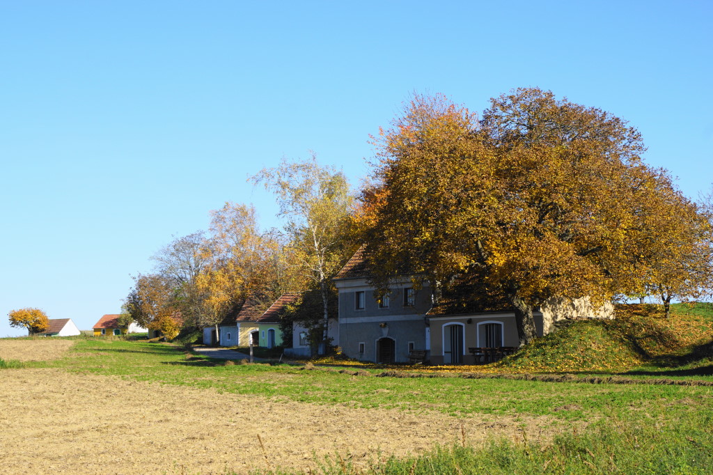 Kellergasse Zagging